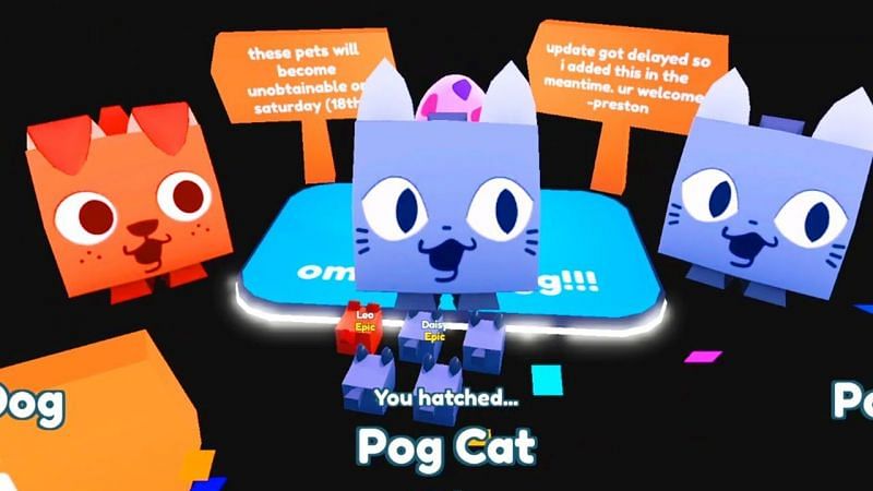 The Pog Cat in Roblox Pet Simulator X. (Image via Roblox)