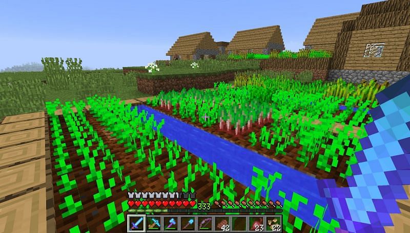 Beetroot can be found in the village garden and nowhere else, so it&#039;s the rarest crop (Image via Minecraft)