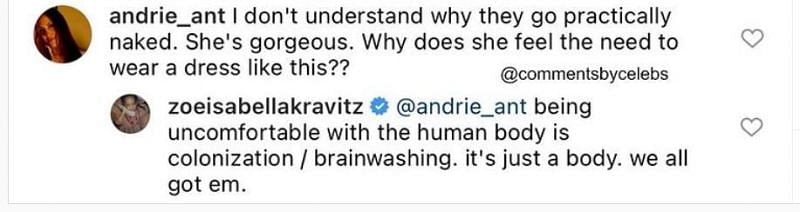 The comments on Kravitz&#039;s Instagram (Image via Zo&euml; Kravitz/ Instagram)