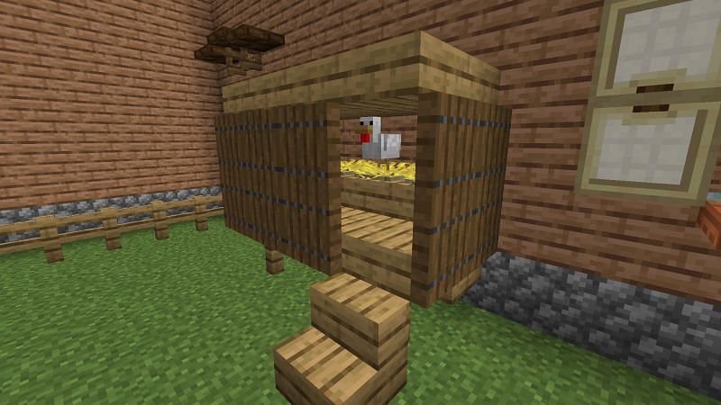 Chicken (Image via Mojang)