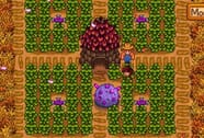 Stardew Valley Best Crop For Greenhouse