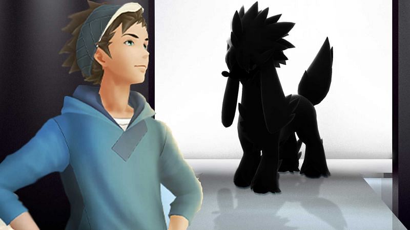 The Kalos native Pokemon Furfrou will be arriving in Pokemon GO during Fashion Week alongside many more special features (Image via Niantic)