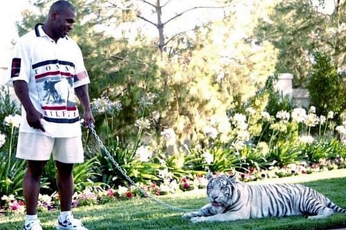 Mike Tyson had pet tigers in his mansion