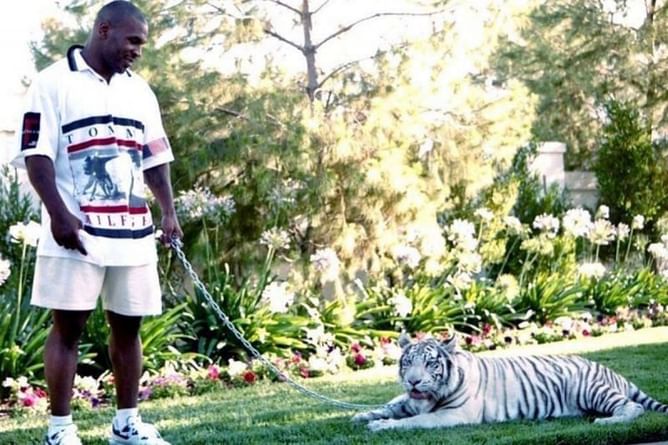 Watch: When Mike Tyson playfully wrestled with his pet tiger in his mansion