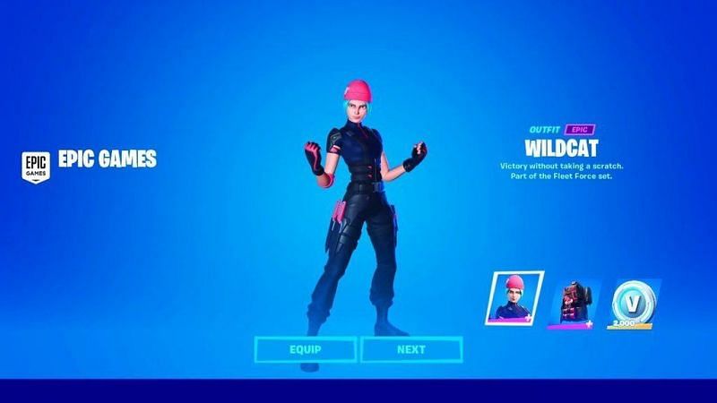 The WildCat bundle is one of the rarest in Fortnite (Image via 23kid/Twitter)