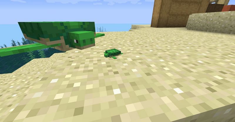Turtle and her baby (Image via Minecraft)