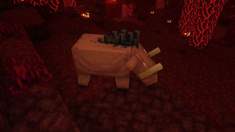 A hoglin in the game (Image via Minecraft)