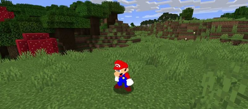 Mario in Minecraft (Image via pdxdylan on Twitter)