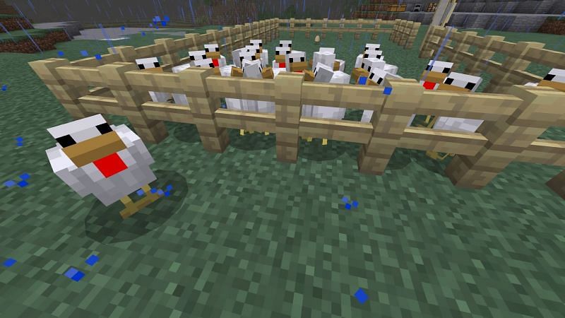 Minecraft chickens (Image via Mojang)