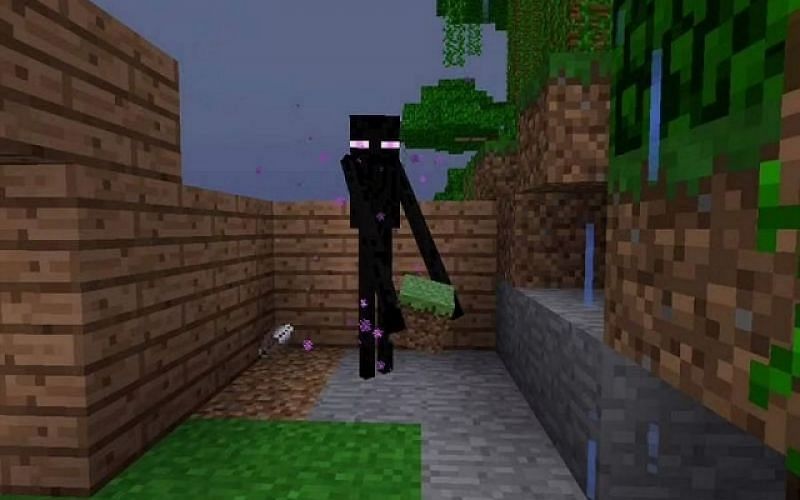 Image of an enderman holding a block of grass in Minecraft (Image via Minecraft)