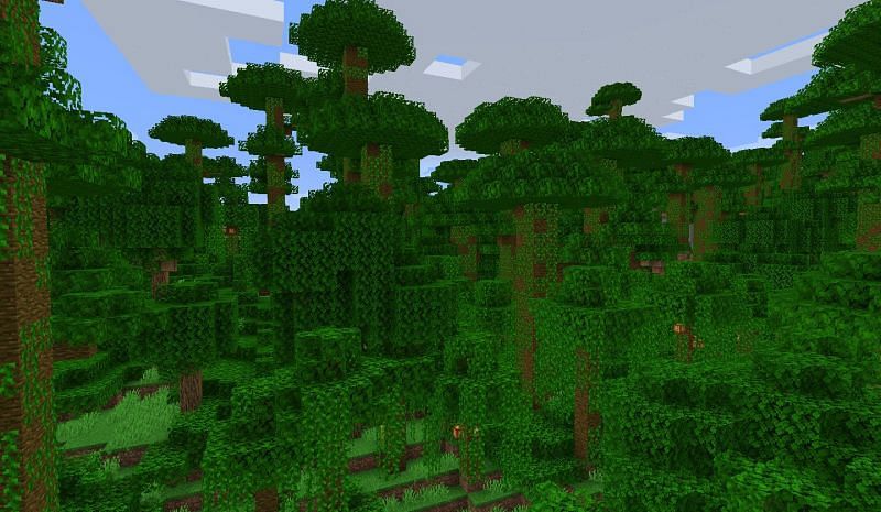The jungle is one of the densest and heavy biomes in Minecraft, making it hard to end (Image via Minecraft)