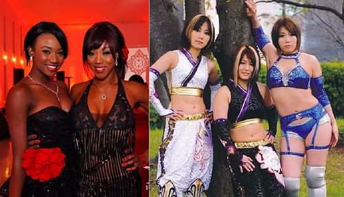 Several current and former WWE Superstars have sisters who were or are part of the business