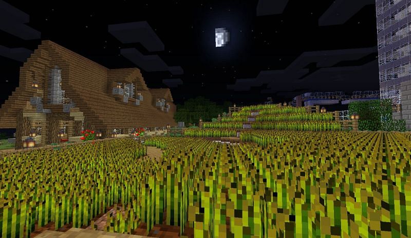 Large wheat farm in Minecraft (Image via Minecraft)