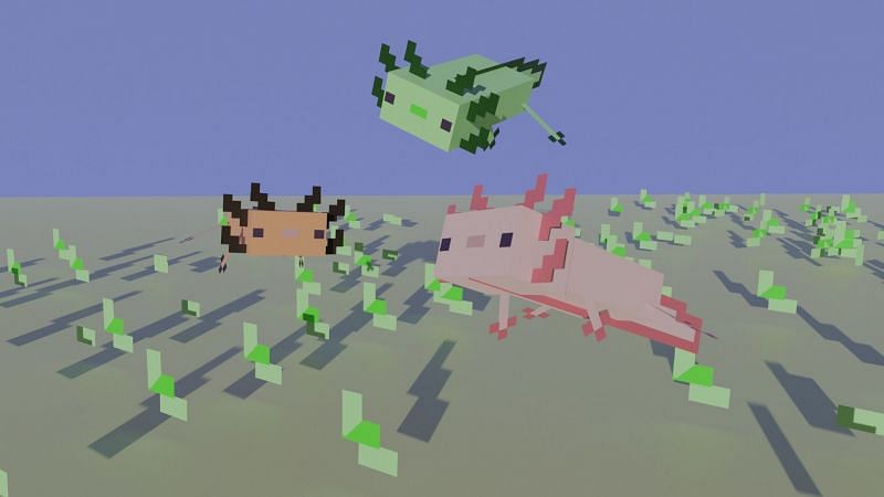 Happy Axolotls (Image via CGTrader)