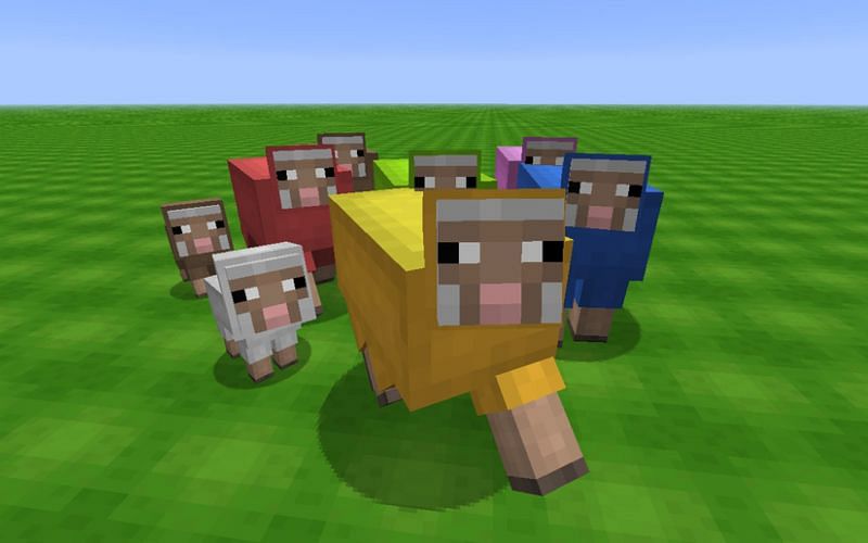 Minecraft sheep can be dyed in a variety of colors. Image via Minecraft.