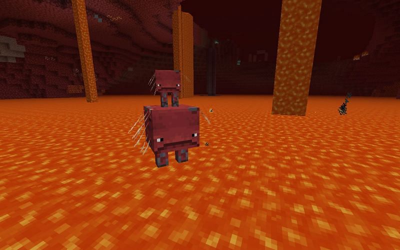 A strider riding another (Image via Minecraft)