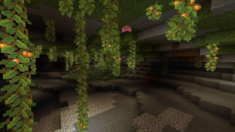 The lush caves biome (Image via Minecraft)