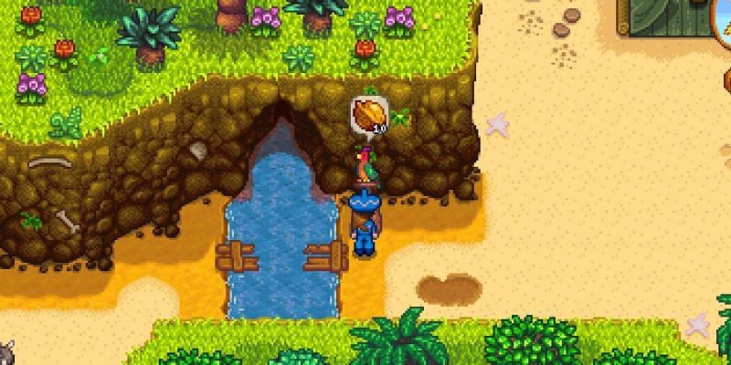 Golden walnuts are the currency on Ginger Island. (Image via Stardew Valley)