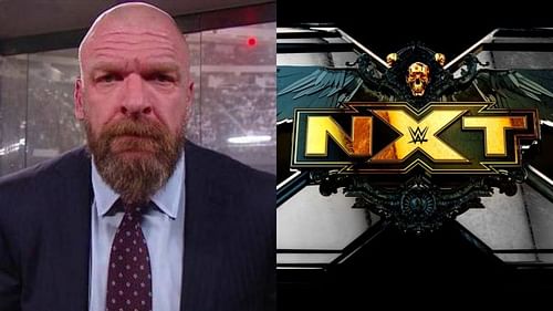 Triple H has been the godfather of WWE's third brand NXT