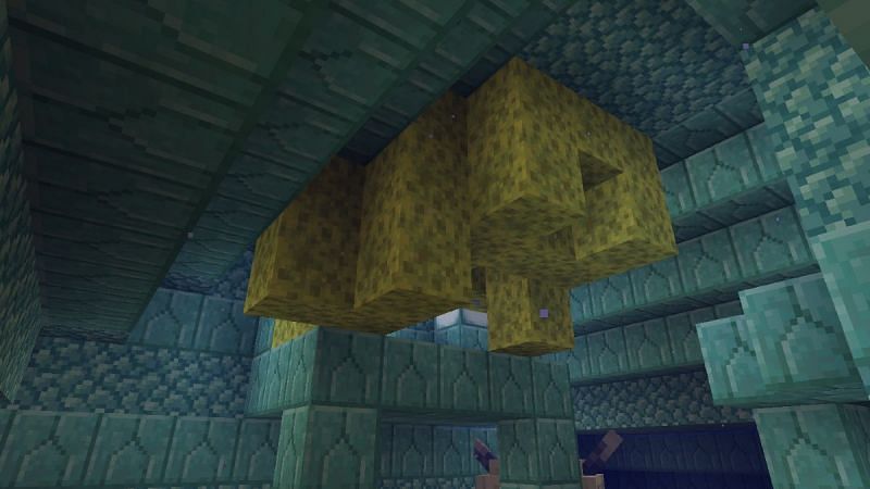 Sponges hanging from the ceiling (Image via Minecraft)
