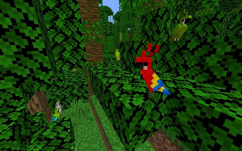 An image of several Minecraft parrots in a Jungle(Image via Mojang)