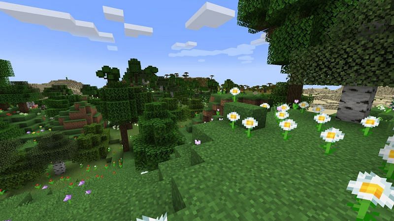 Plains biome (Image via Minecraft)