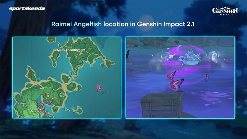 Fishing spots for Reimei Angelfish