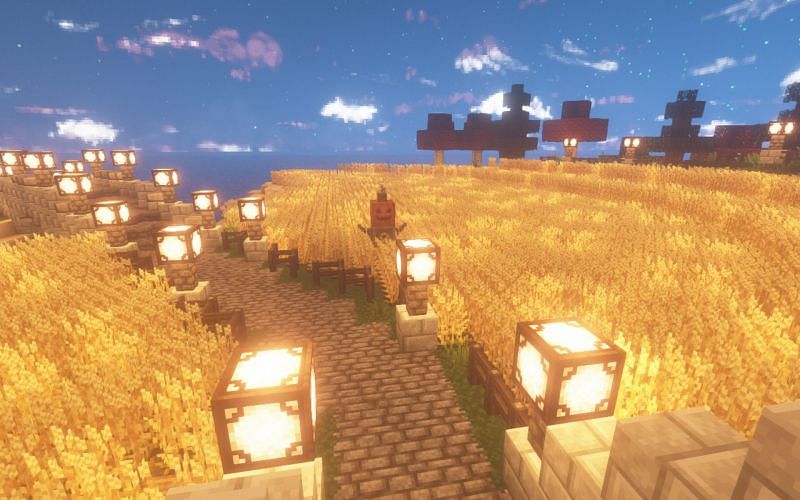 An image of a wheat field in Minecraft. Image via Minecraft.