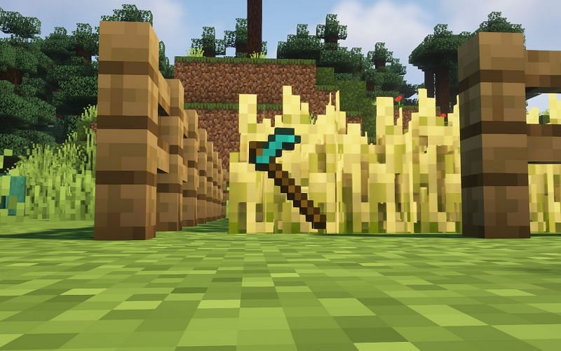 Best uses of hoe in Minecraft (Image via Minecraft)