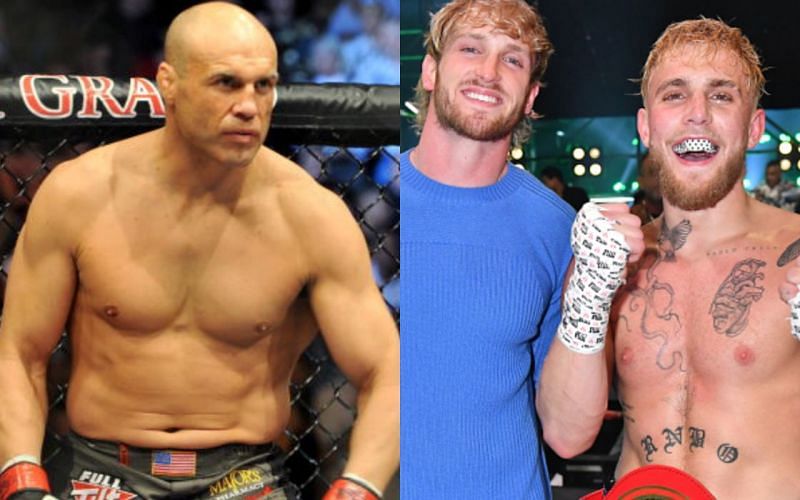 Randy Couture (left); Logan Paul (center); Jake Paul (right)