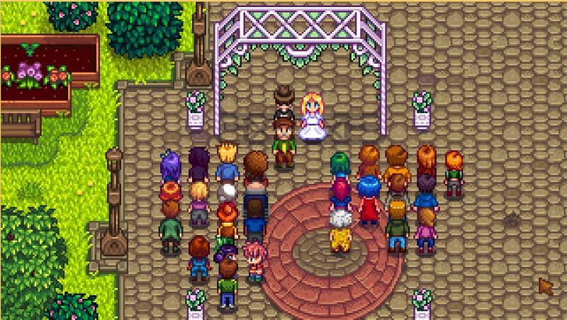 How To Marry Another Player In Stardew Valley