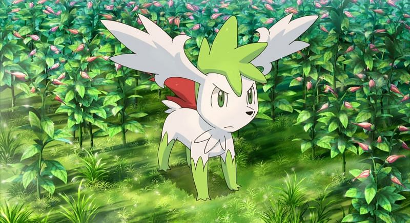 Shaymin in its sky form as it appears in the anime (Image via The Pokemon Company)