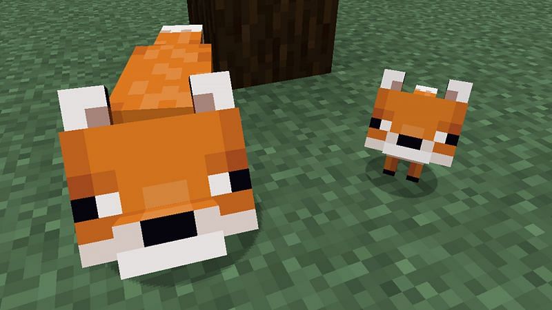 Cute baby fox and parent (Image via Minecraft)