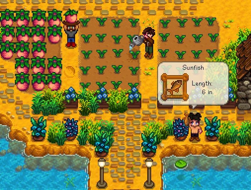 Players can join the same world and play together, but not on the same screen. (Image via Stardew Valley)