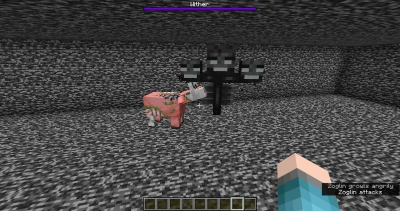 minecraft wither vs ender dragon