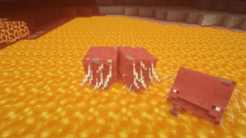 Two striders breeding (Image via Minecraft)