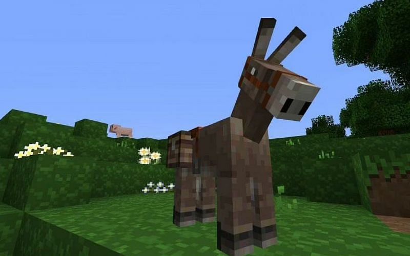 An image of a Minecraft donkey equipped with a saddle and chest (Image via Minecraft)