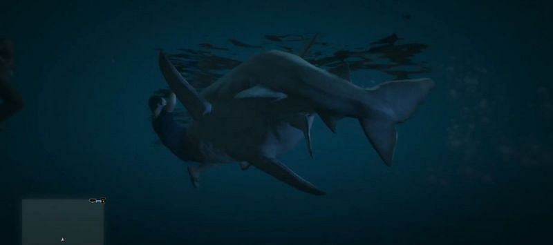 A shark attacking the player (Image via Rockstar Games)
