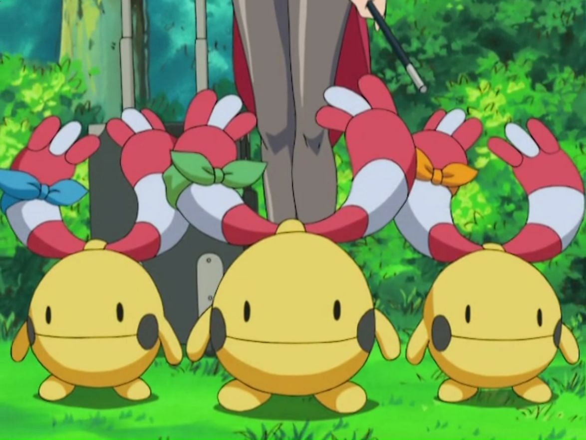 Francesca&#039;s Chingling in the anime (Image via The Pokemon Company)
