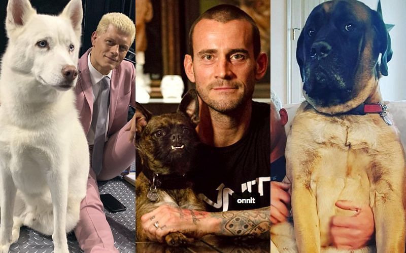 These AEW Stars share a special bond with their pets