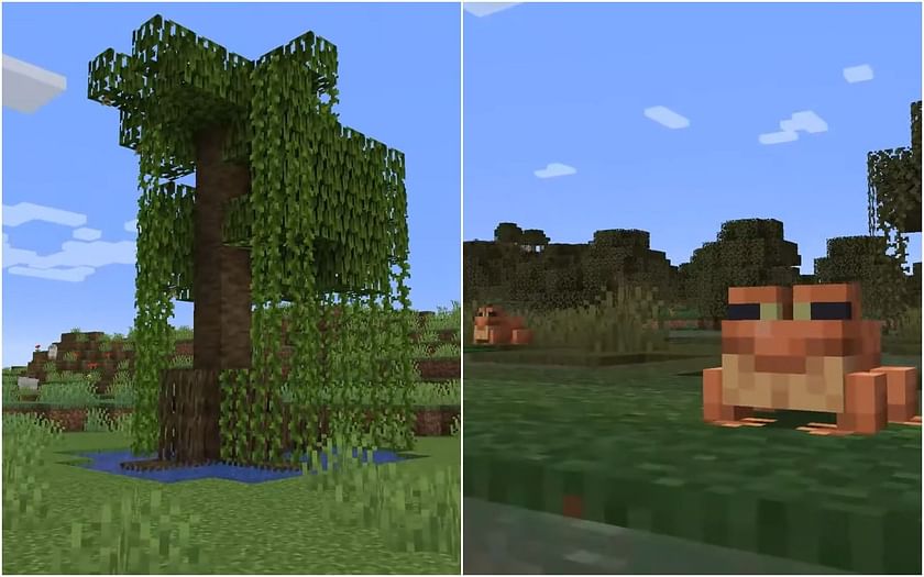 Minecraft 1.19 The Wild Update: Mangroves, frogs, deep dark caves, and more  revealed