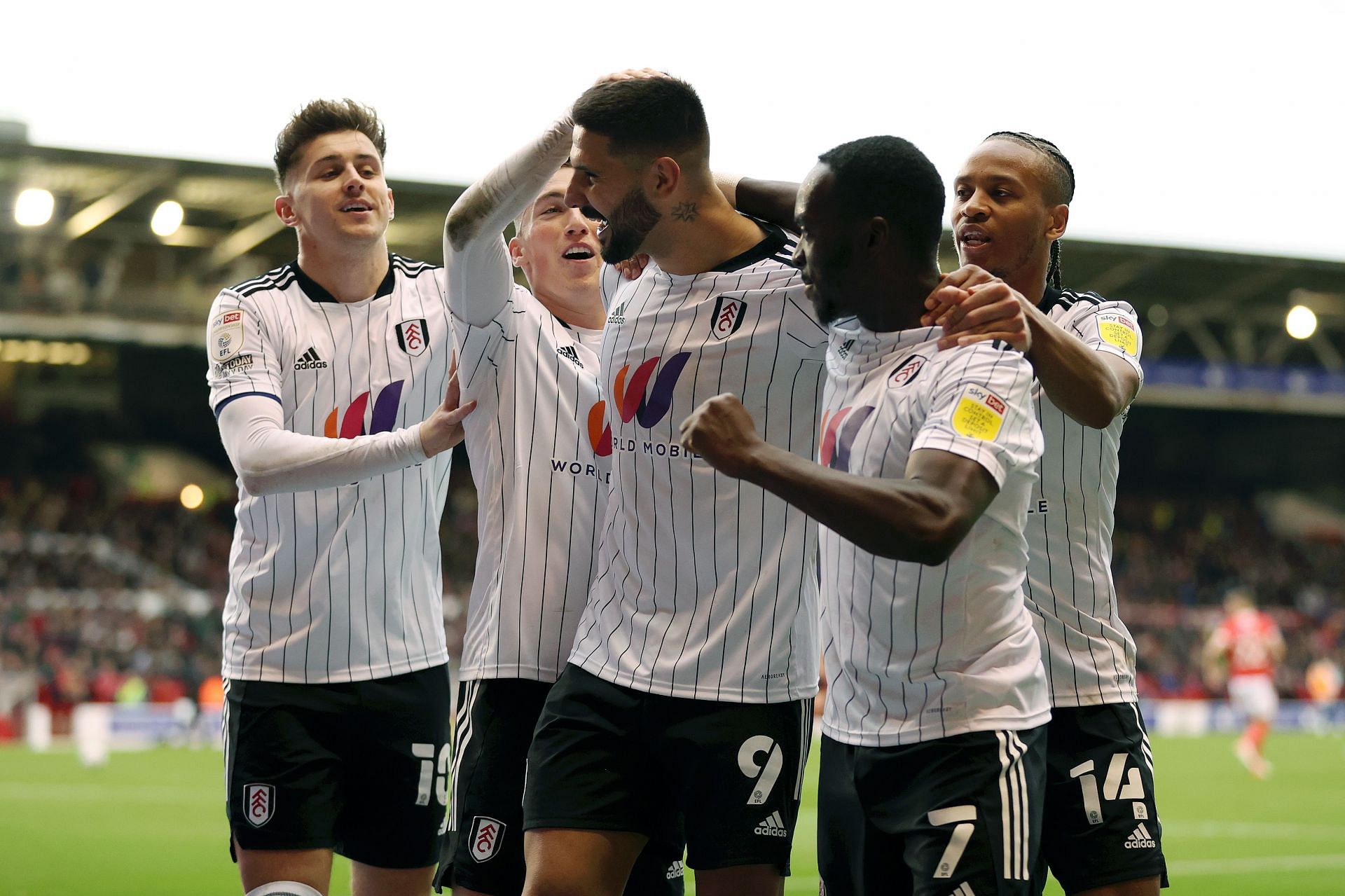 Fulham will host West Bromwich Albion on Saturday - Sky Bet Championship