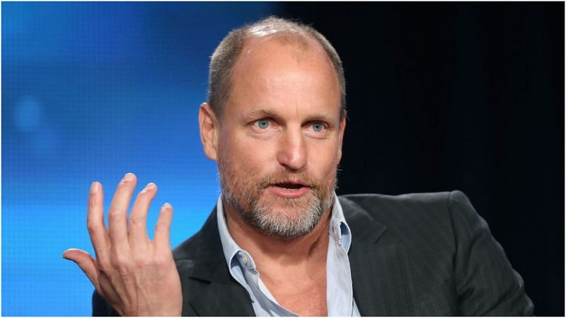 Woody Harrelson speaking at the 2014 Winter Television Critics Association tour (Image via Getty Images)