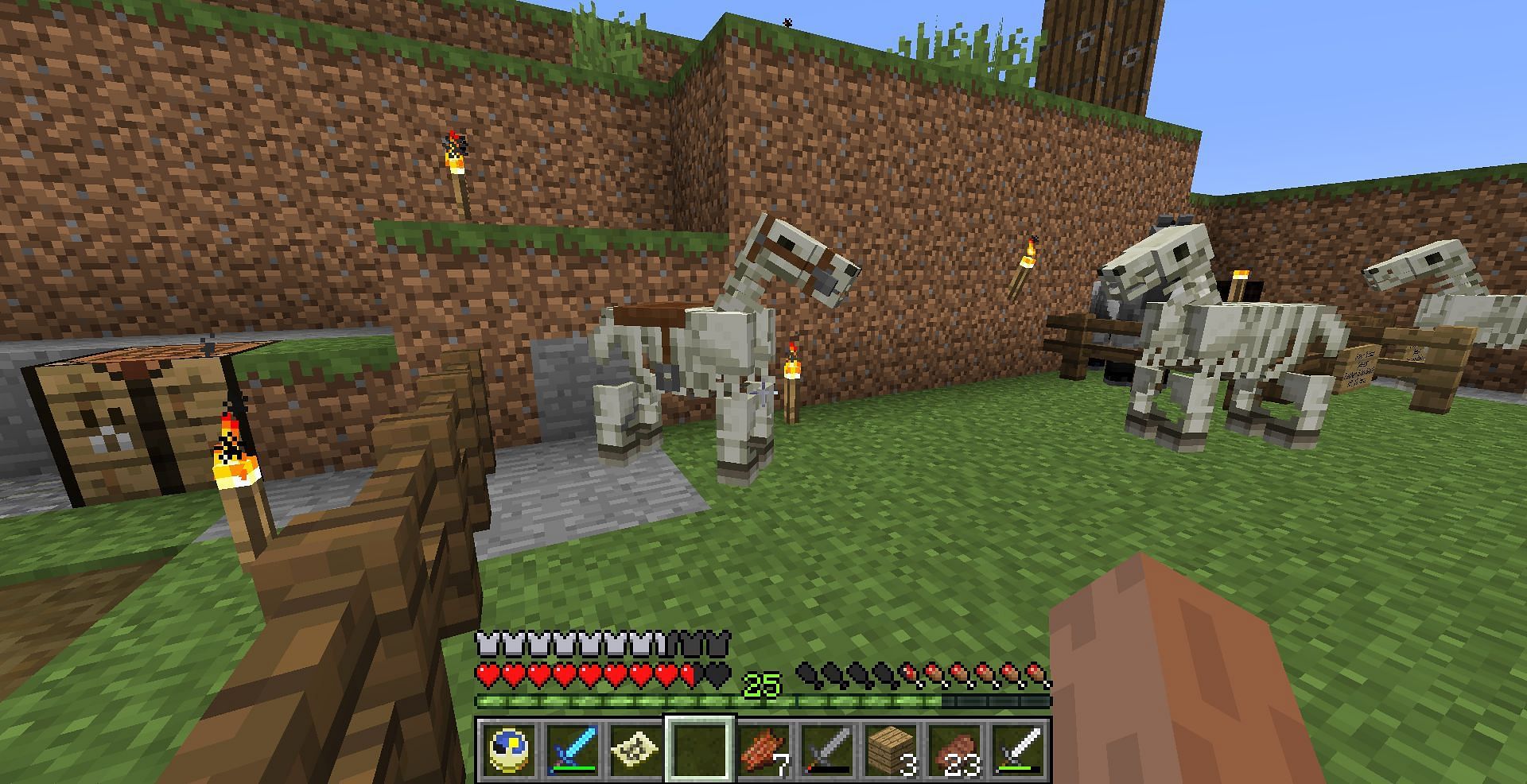Tamed Skeleton Horse (Image via Minecraft)
