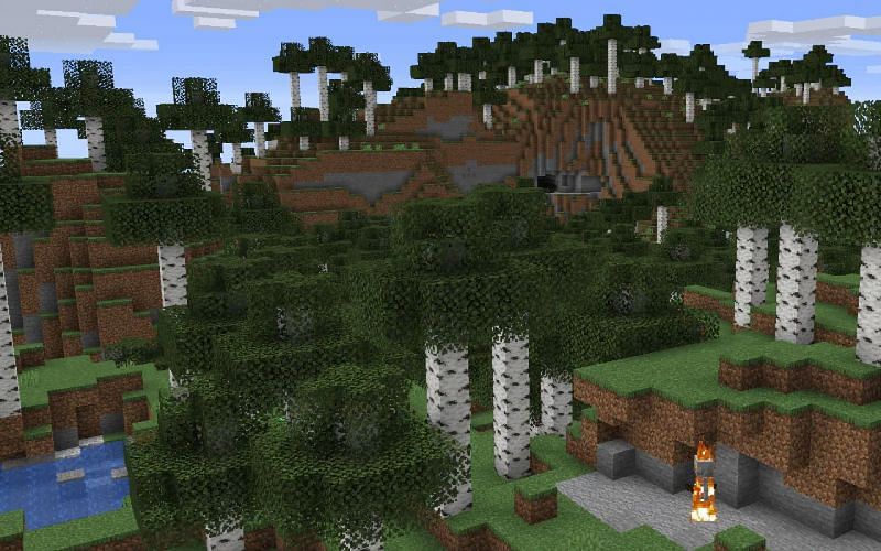 An image of a tall birch forest in-game. (Image via Minecraft)