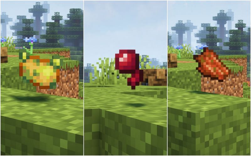 Underwhelming food items (Image via Minecraft)