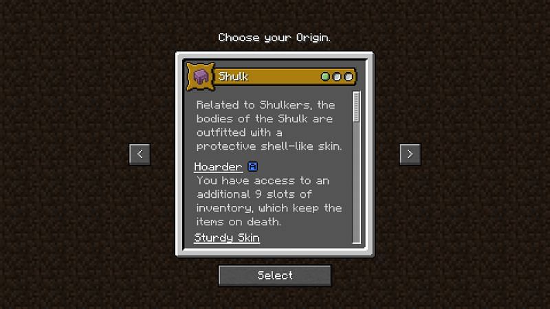 Shulk origin (Image via Minecraft)