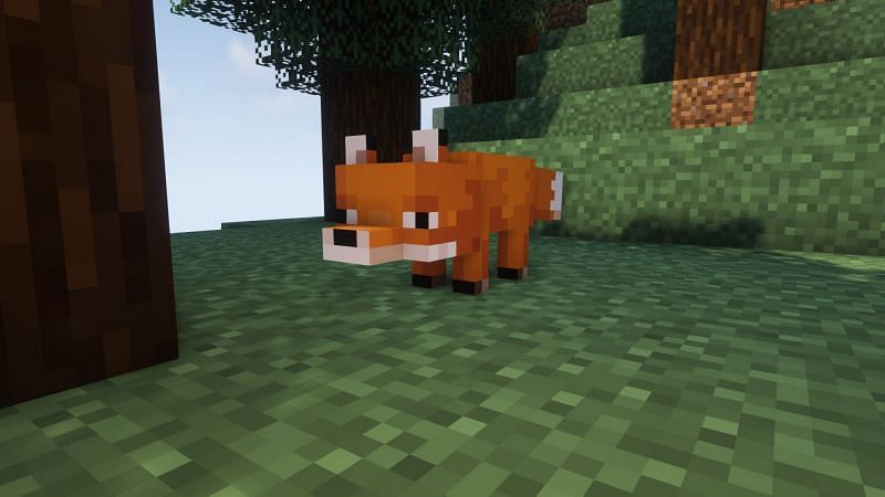 A fox (Image via Minecraft)