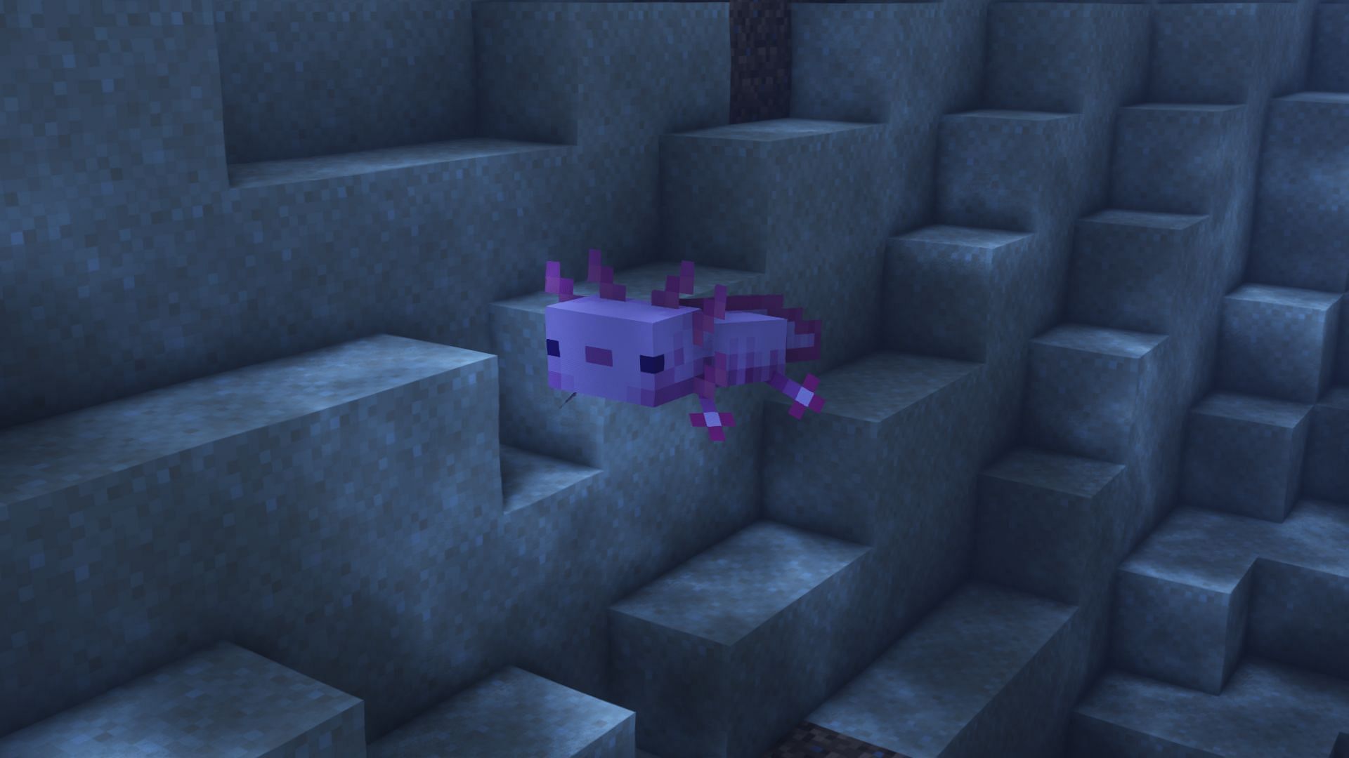 Un axolotl en el juego (Imagen a través de Minecraft)