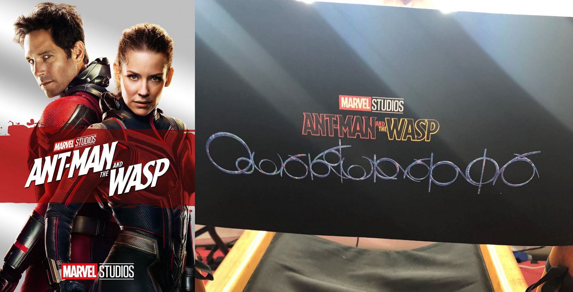 Hilarious Ant-Man and The Wasp memes trend after strange Quantumania  logo surfaces online